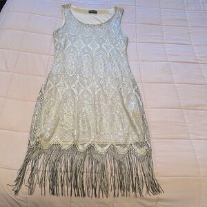 Venus beautiful fringed bottom silver with black party dress